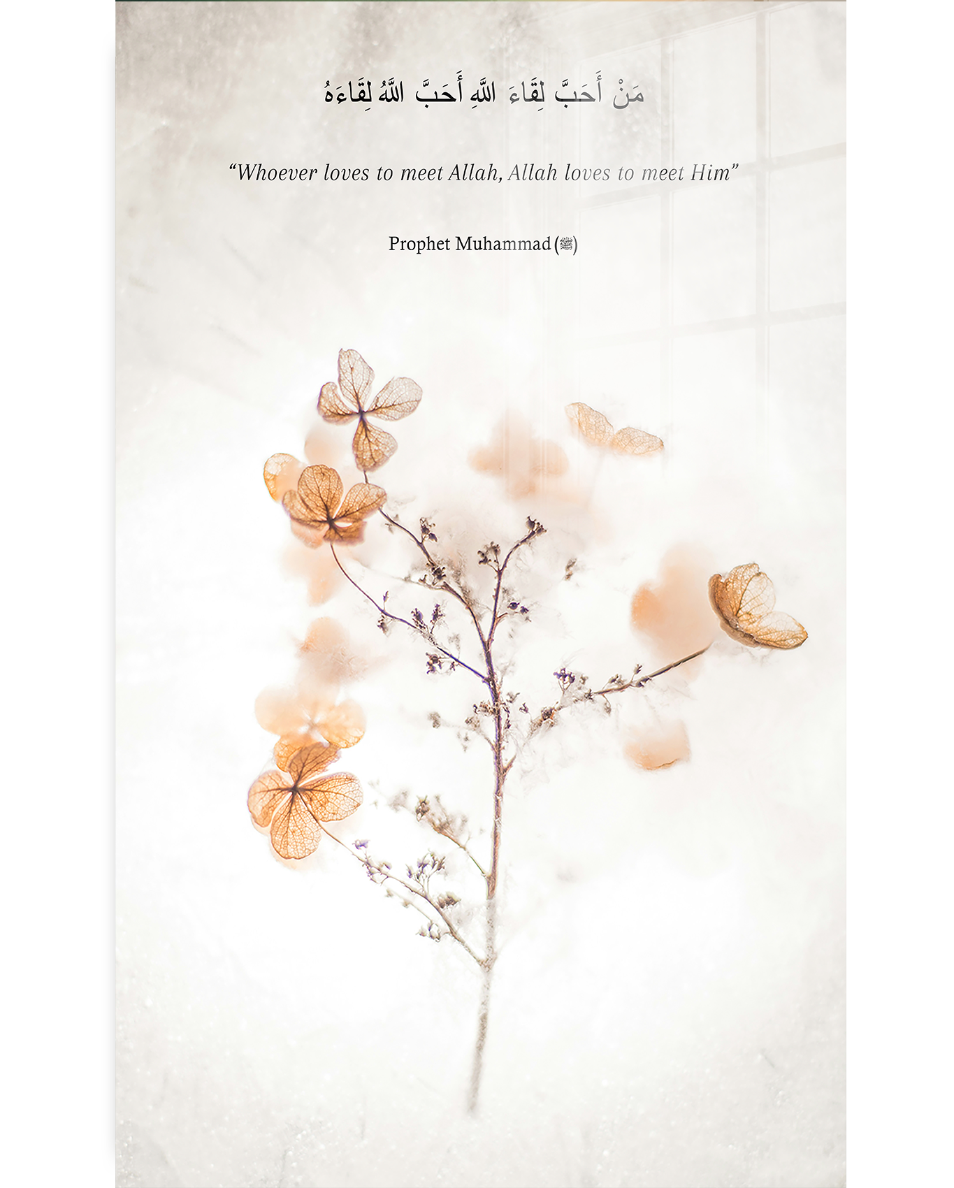 Light Flower
