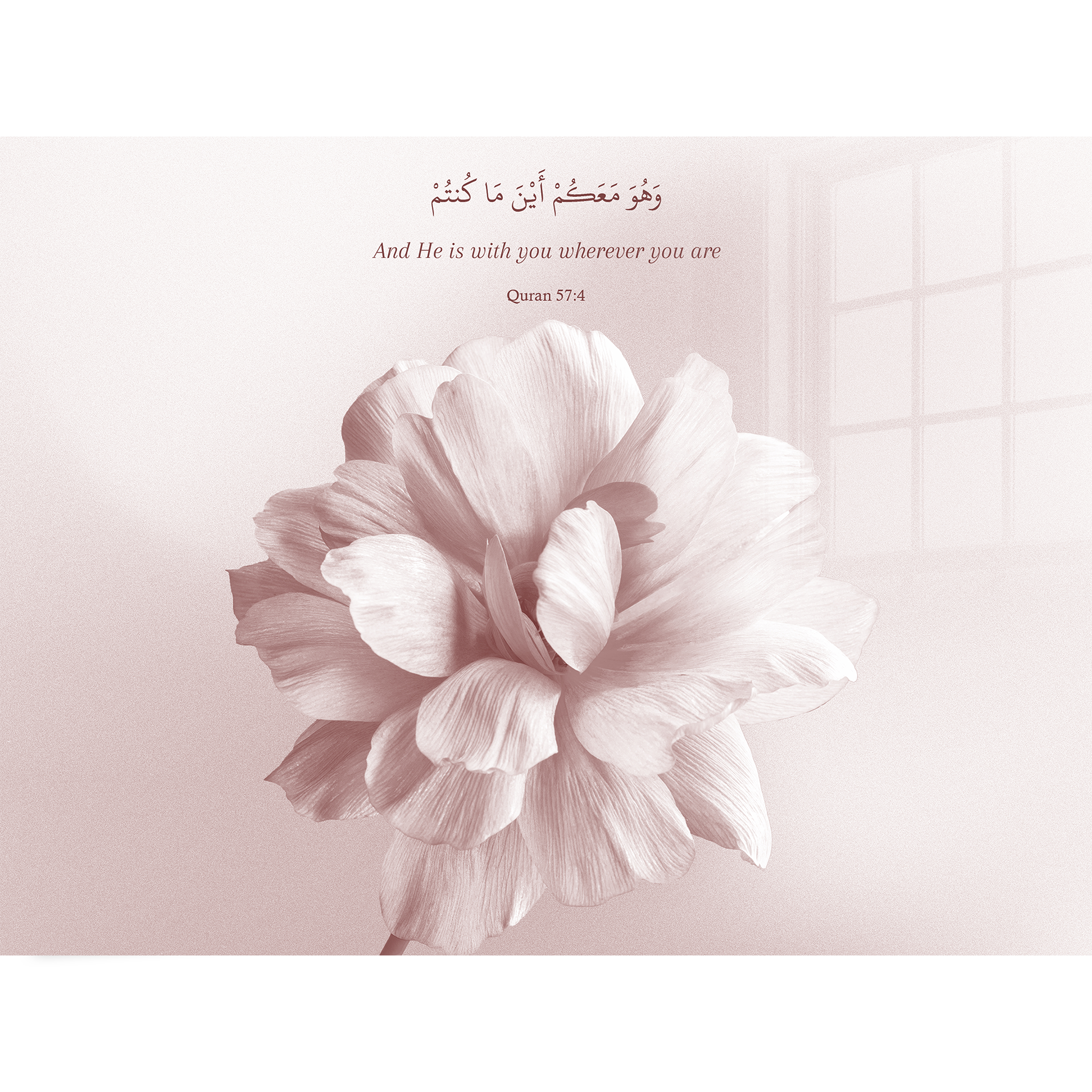 Light Pink Flower