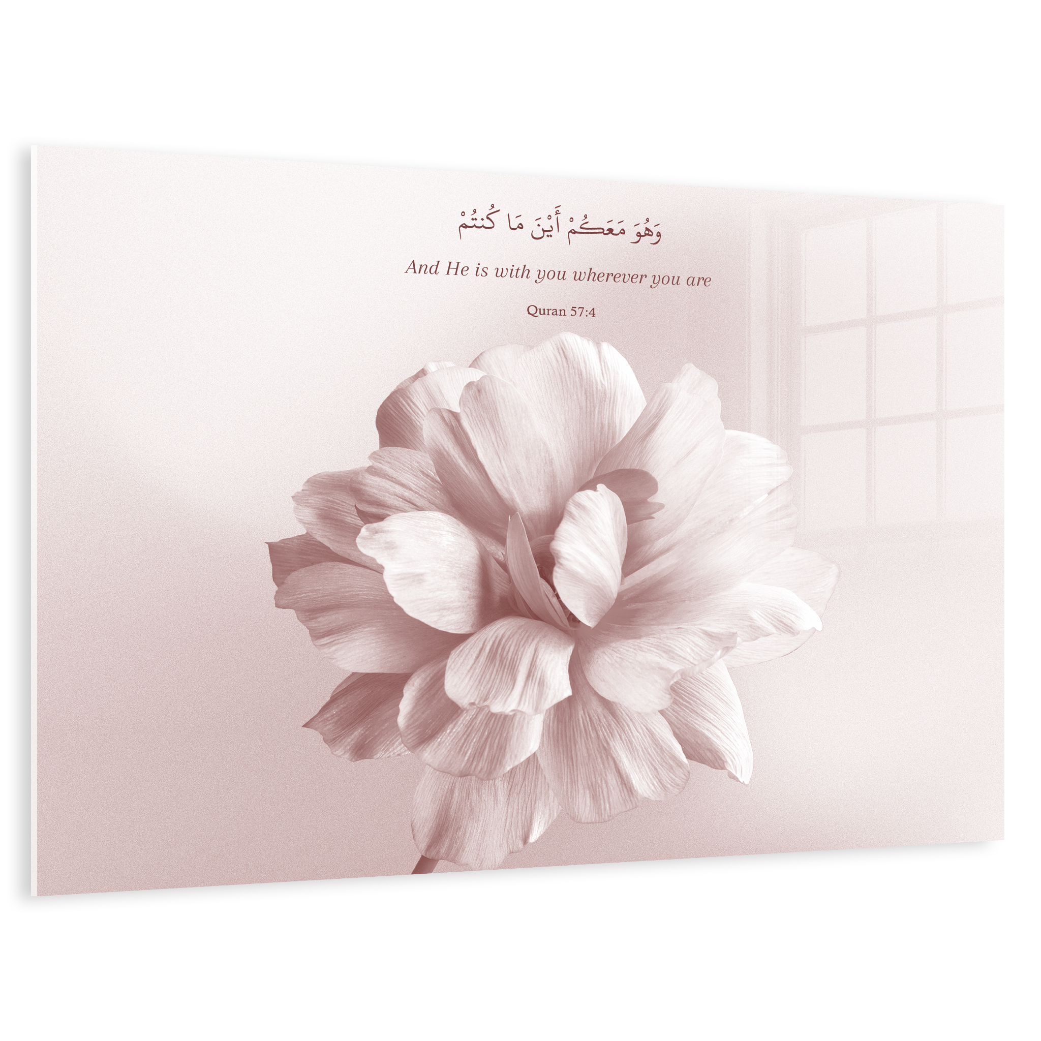 Light Pink Flower