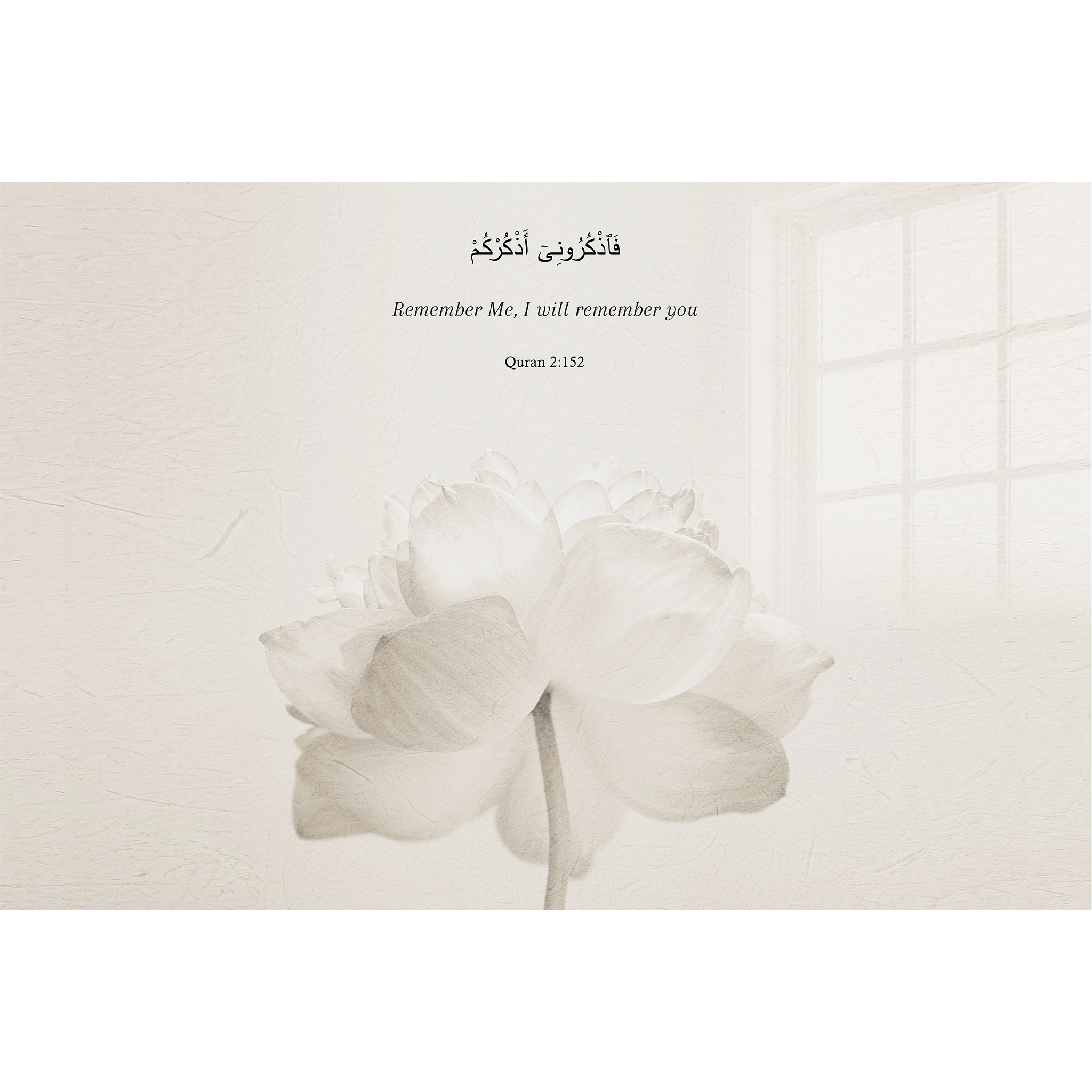 White Flower