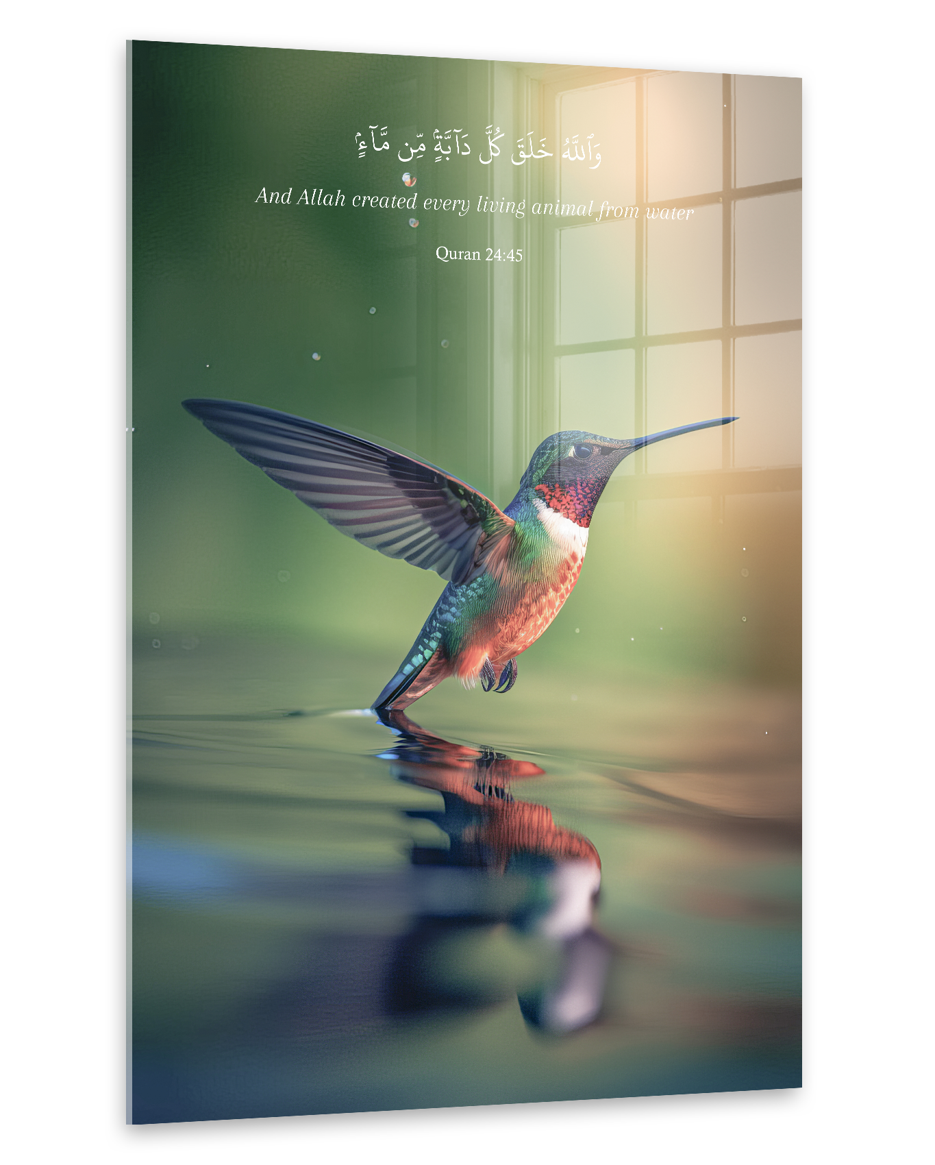 Bird